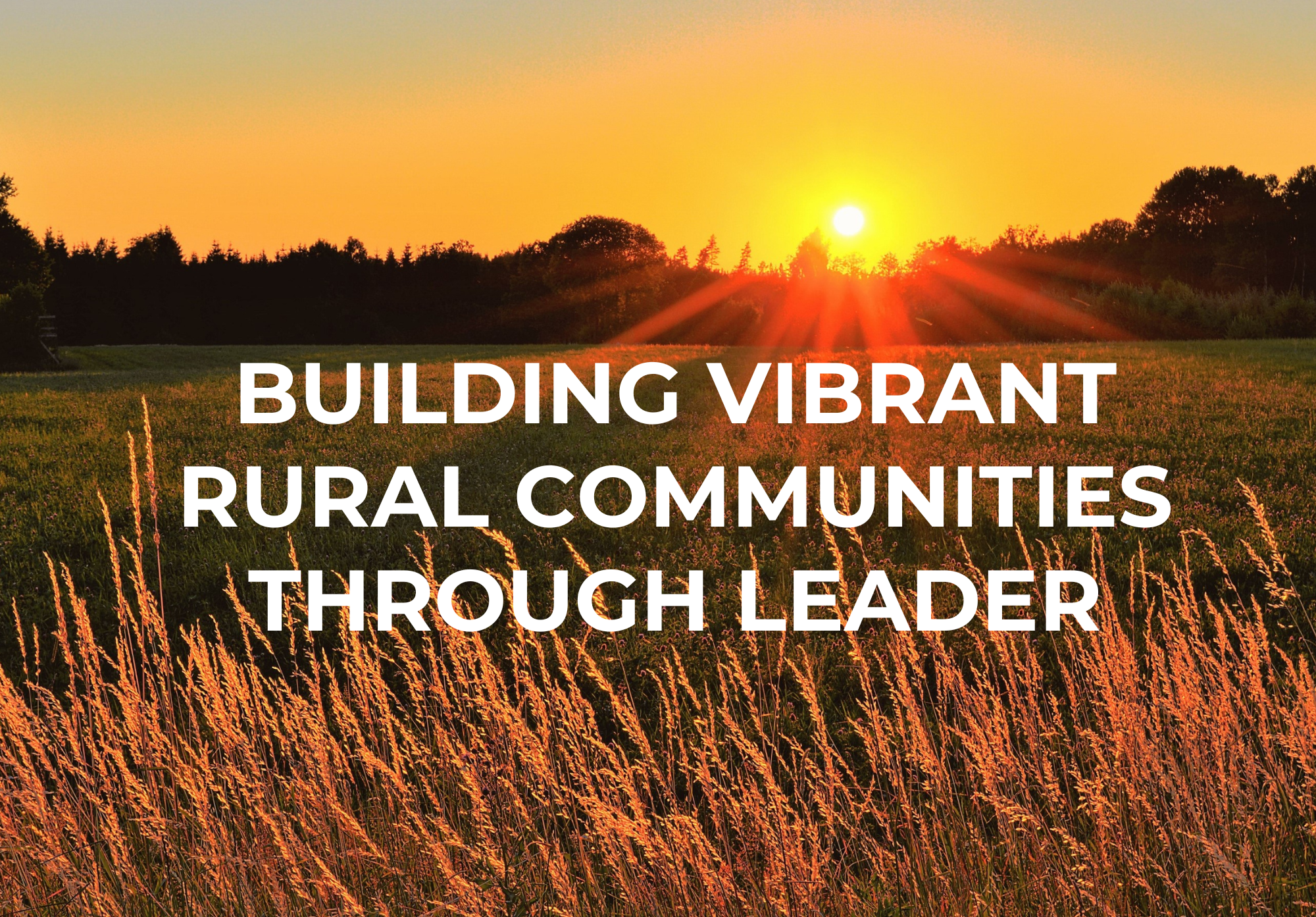 Building Vibrant Rural Communities through LEADER